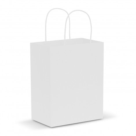 Paper Carry Bag - Medium - 107586-2