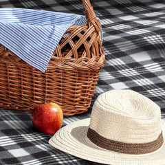 Dakota Picnic Blanket - 112565-1