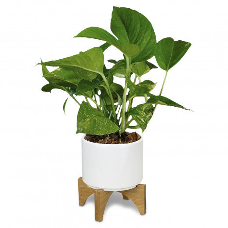 Planter with Bamboo Base - 120901-2